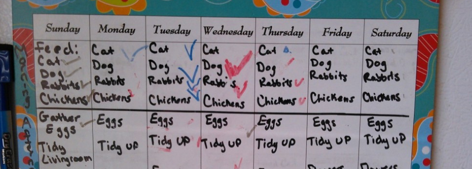 We Ditched our Chore Chart!