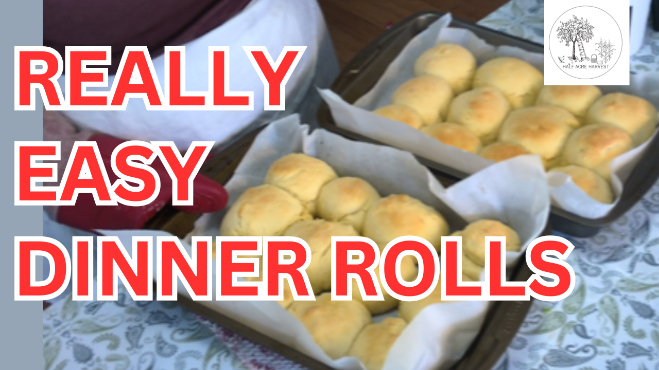 Quick Easy Dinner Rolls